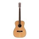 Acoustic Guitar Fender CF-140S
