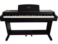 Đàn Piano điện Yamaha Clavinova CLP-811